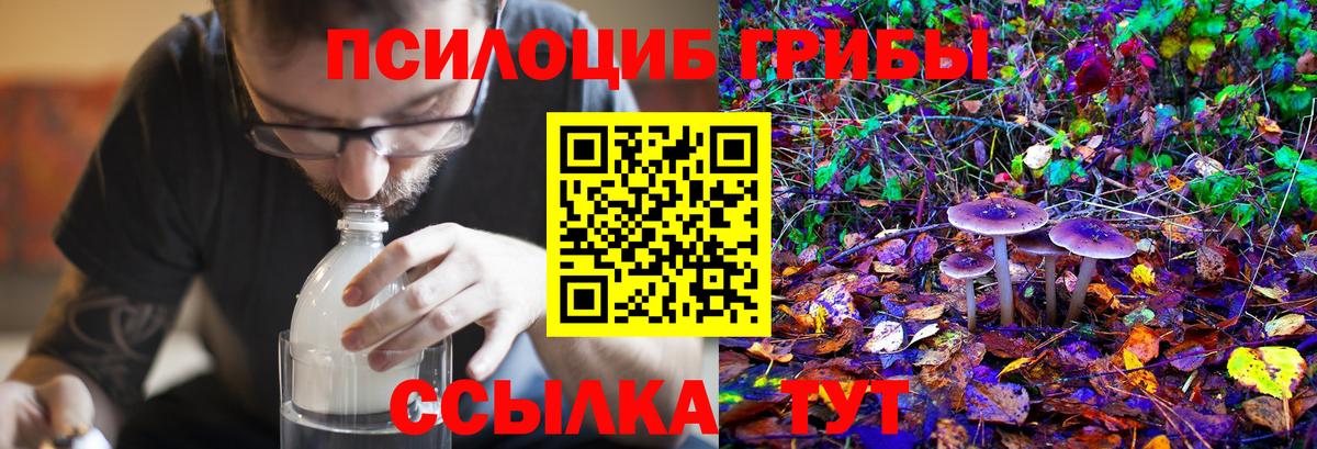 Галлюциногенные грибы мухоморы Богданович