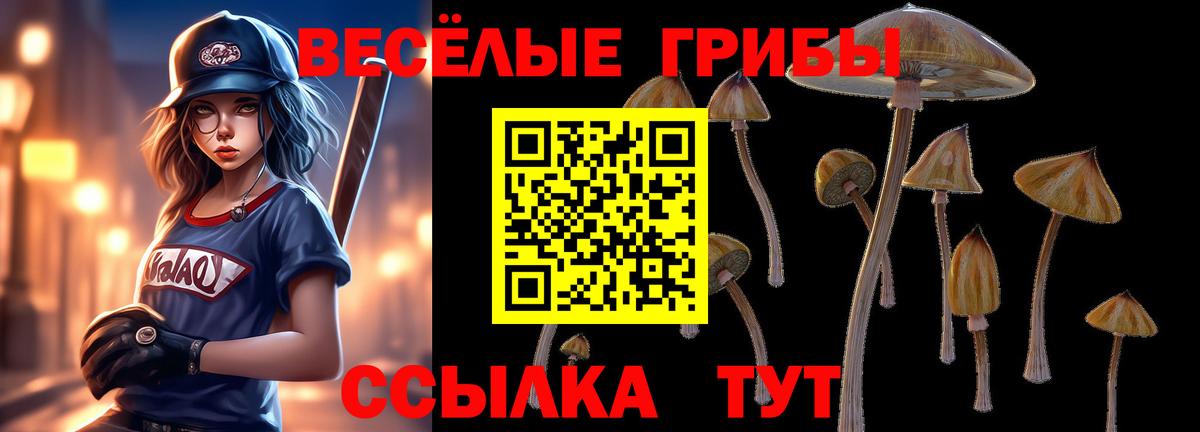 Галлюциногенные грибы Magic Shrooms  Вход с VPN  Богданович 